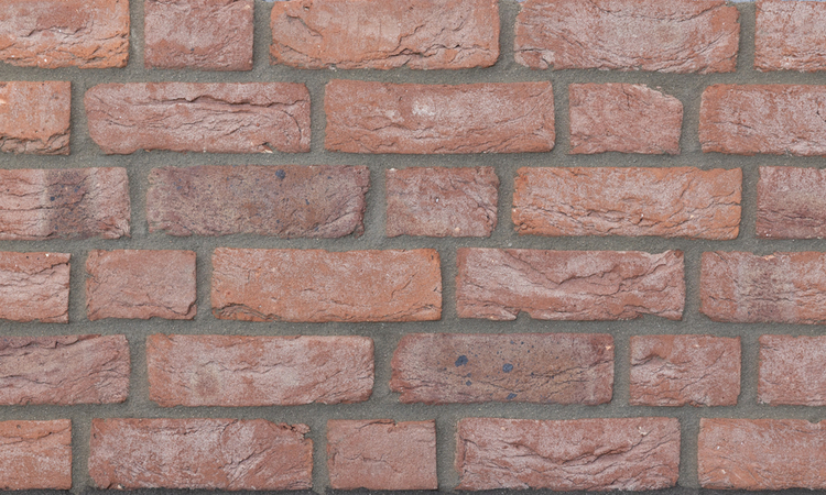 1b9a0882.jpg