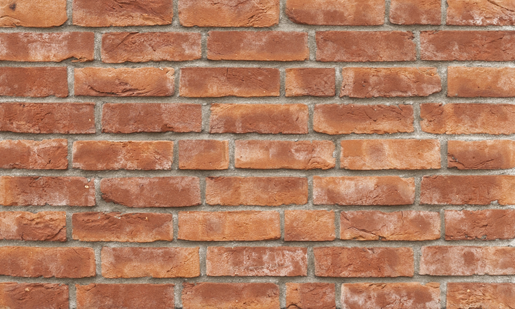 carmine_genuanciered--cement_grey.jpg