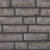 1b9a1018.jpg