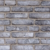 rainbow_gresydust_1_bieloseda.jpg